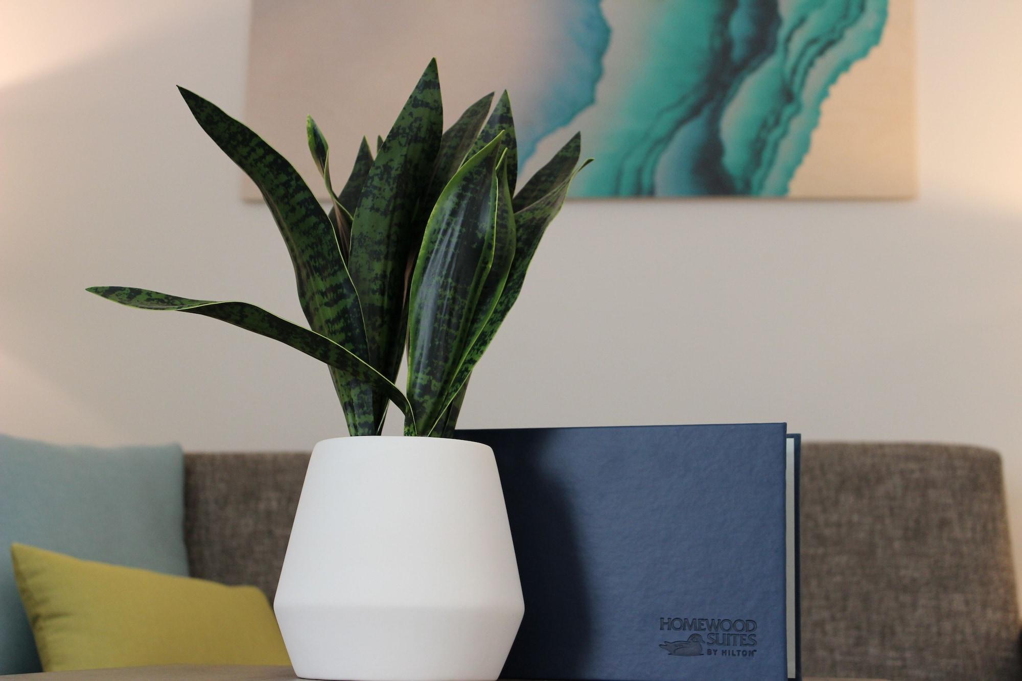 Homewood Suites By Hilton Chula Vista Eastlake Luaran gambar